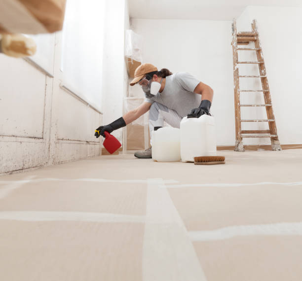 Mold Remediation for Rental Properties