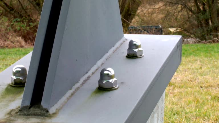 Best Industrial Mold Remediation  in Frankenmuth, MI